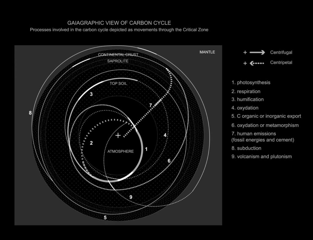 gaiagraphic view of the carbon cycle